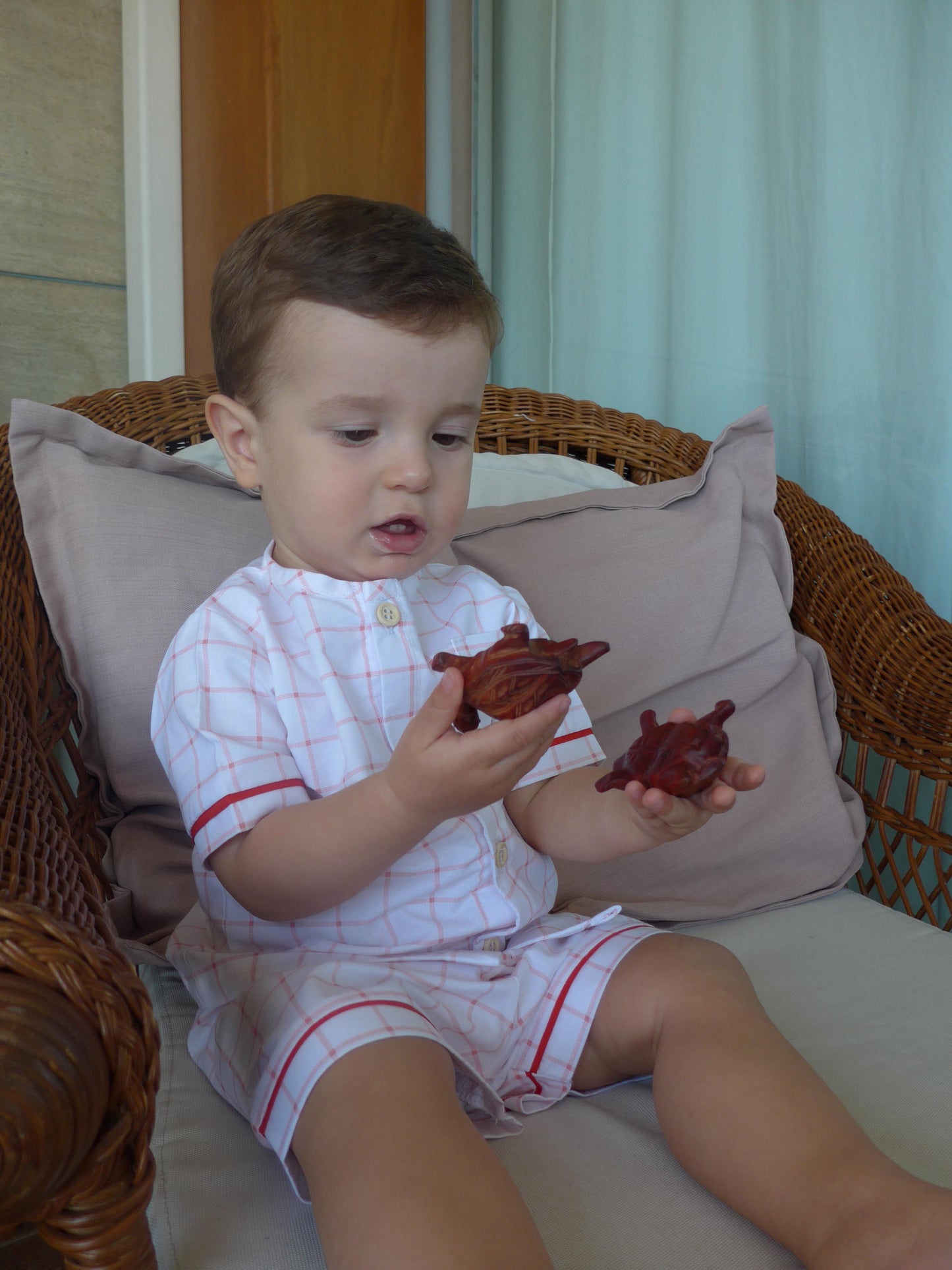 Coral - Niño - corto