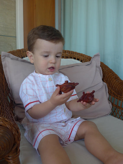 Coral - Niño - corto